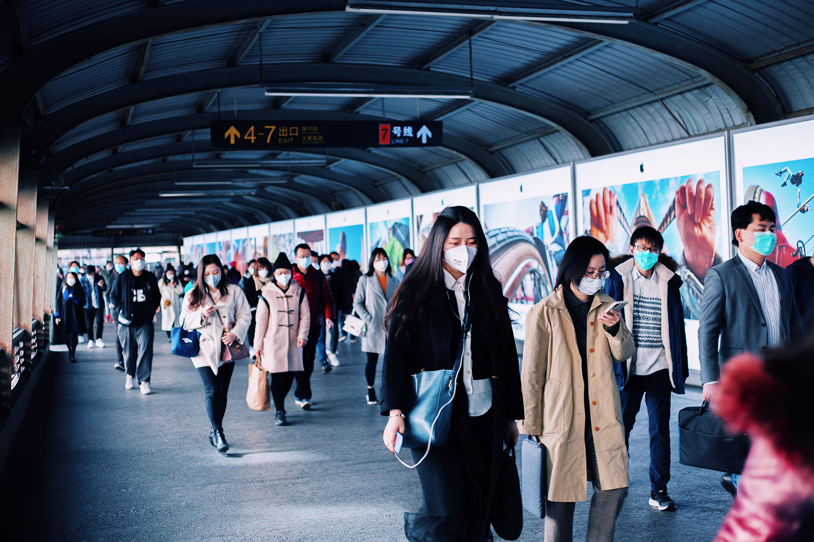 Cidade chinesa com 10 528 infectados com brucelose após bactéria escapar de um laboratório local