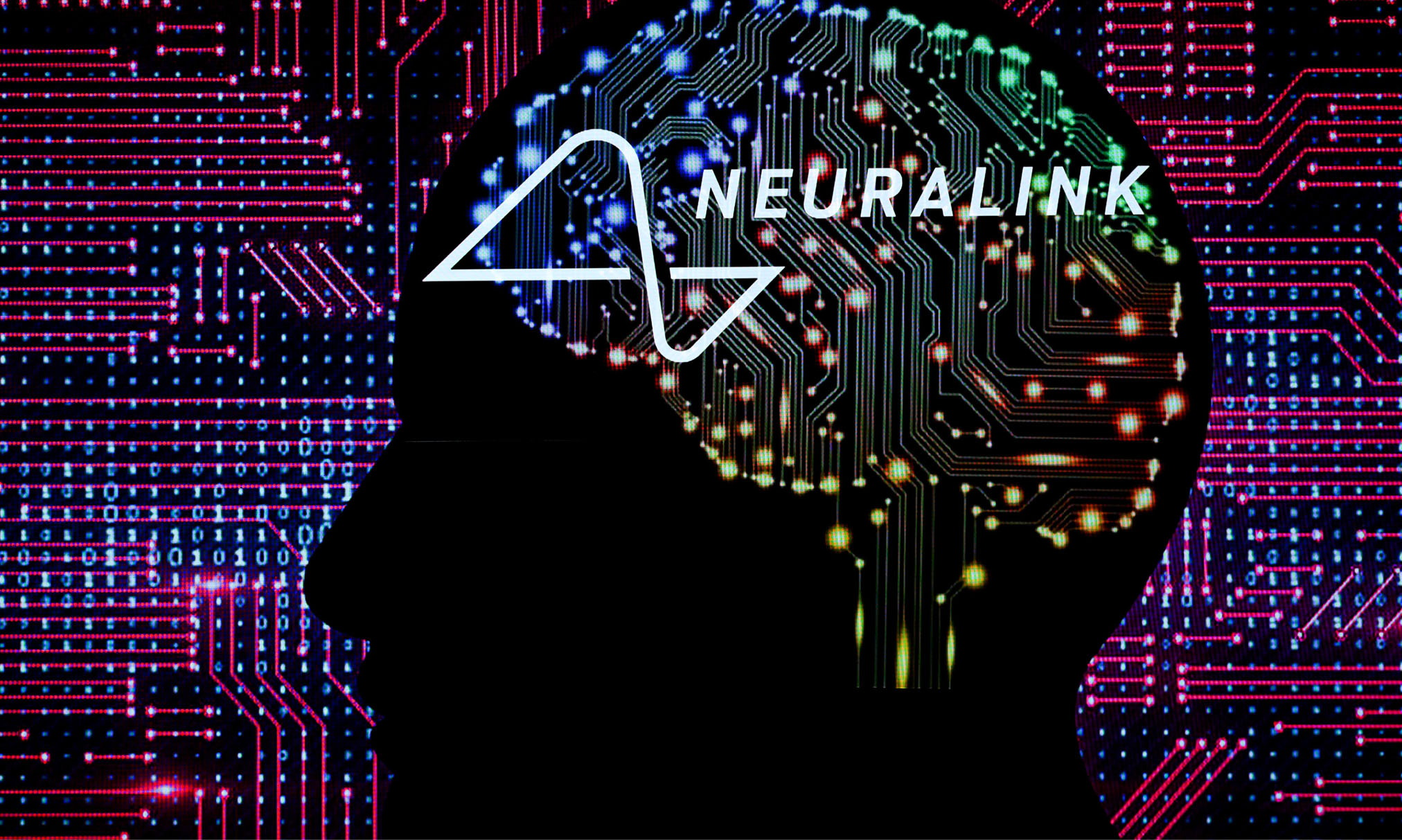 Implantes da Neuralink sofrem denúncias por testes em animais